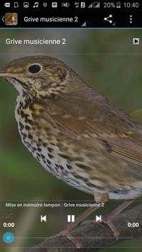 Thrush Bird Sound screenshot 3