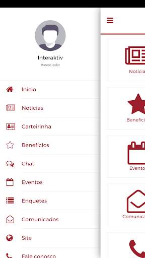 APESP screenshot 2