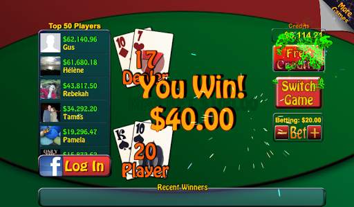 Video Poker & Blackjack Casino screenshot 4
