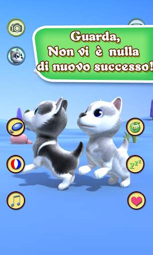 Talking Dog Husky screenshot 5