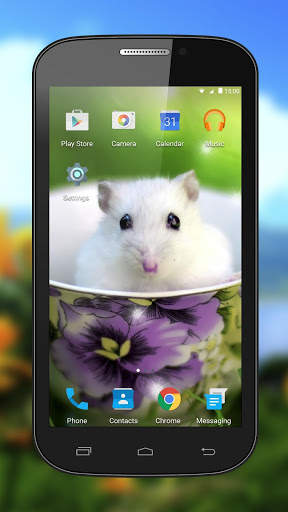 Hamster Live Wallpapers screenshot 2