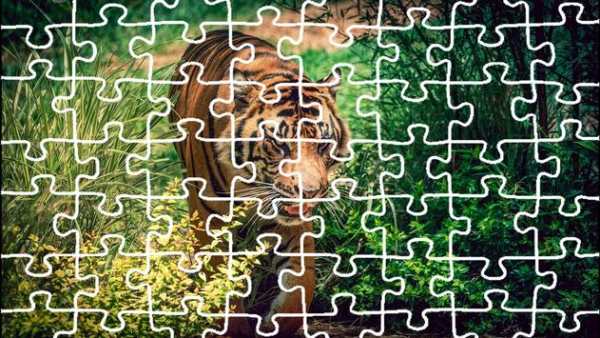 Tiger Jigsaw Puzzle King screenshot 1