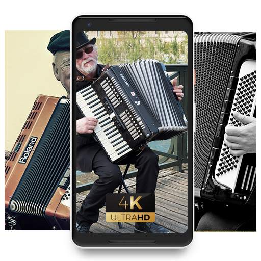 Accordion Bird Wallpaper 1.0