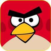 Angry Bird Wallpapers