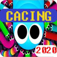 Game Cacing 2020: Worm Zone io Crawl Cacing alaska