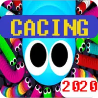 Game Cacing 2020: Worm Zone io Crawl Cacing alaska