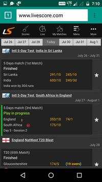 Net Browser screenshot 5