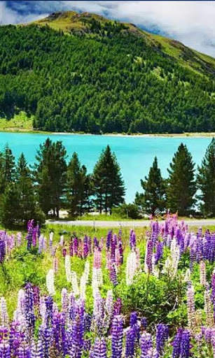 HD Nature Live Wallpaper screenshot 9