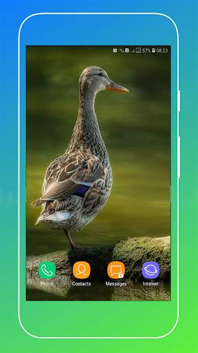 Duck Wallpaper screenshot 3