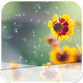 The Yellow Flowers icon