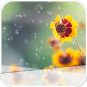 The Yellow Flowers 2.1