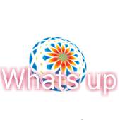 whats up 1.1
