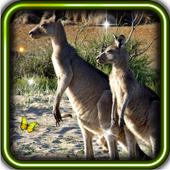 Wild Animals World icon