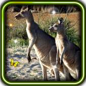 Wild Animals World 1.5