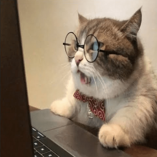 Funny Cat Best Videos icon