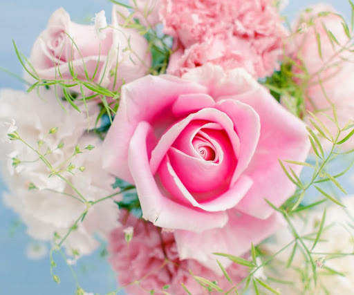 Pink Rose Wallpapers screenshot 6