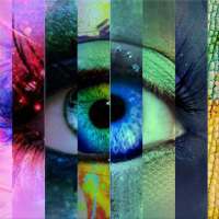 Eyes Factory