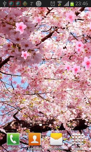 Sakura Live Wallpaper screenshot 1