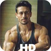 Tiger Shroff Wallpaper 1.0