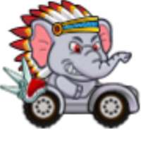 Animal Race