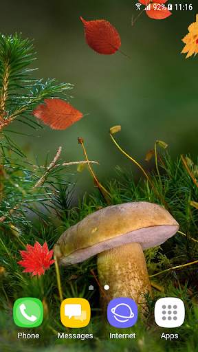 Beautiful Autumn Live Wallpaper screenshot 1