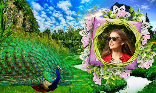 Peacock Photo Frames HD screenshot 2