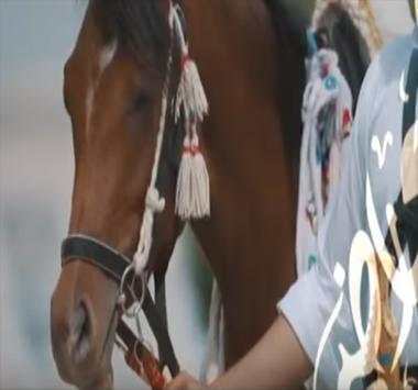 شيلة هدو هدو screenshot 1