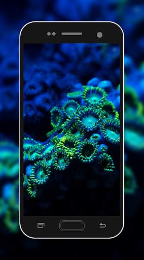 Coral Reef Wallpaper screenshot 4