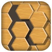 Hexa Blocks Puzzle  Brain Board Games icon