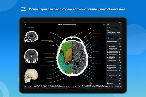 e-Anatomy скриншот 14