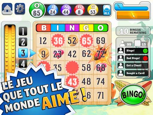 Bingo™ screenshot 2