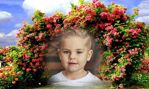 Beautiful Photo Frame Garden Photo Frame app screenshot 2
