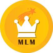 MLMLEADERSINDIA 1.3