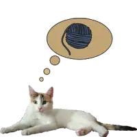 Zenka the cat widget 1.5
