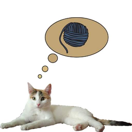 Zenka the cat widget 1.5