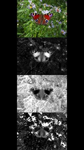 SpectraCam — See invisible. Near IR & UV camera. screenshot 2