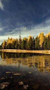 Beautiful Trees Wallpapers screenshot 3
