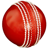 Cricket Coaching Tutorials icon