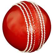 Cricket Coaching Tutorials