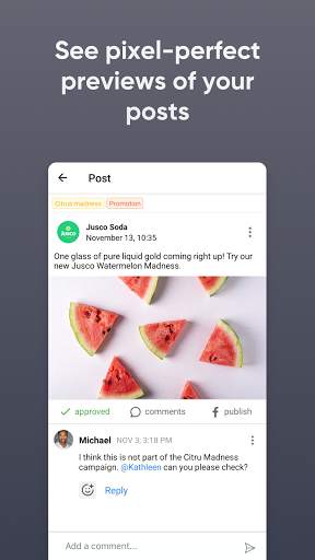 Planable Social Media Approval screenshot 6