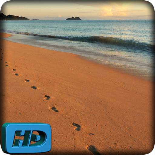 Beach Video Live Wallpaper 5.0