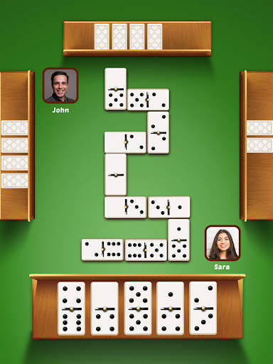 Dominoes Pro screenshot 8