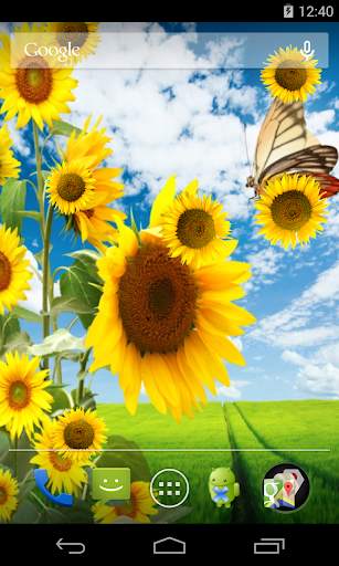 Sunflower Live Wallpaper screenshot 2