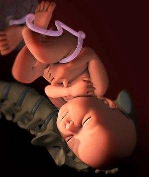Pregnancy apps. Week by week 2 تصوير الشاشة