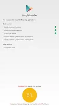 Google Installer screenshot 1