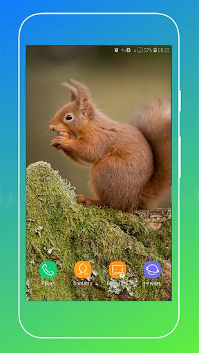 Squirrel Wallpaper screenshot 7