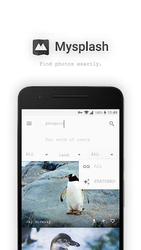 Mysplash-photography&wallpaper screenshot 7