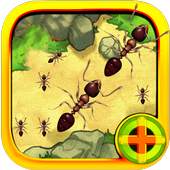 Snake Ant War Fighting WWE 1.0.0