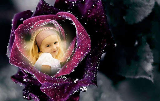 Rose Photo Frames screenshot 1