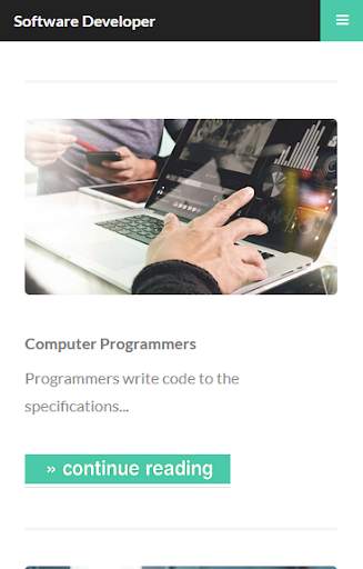 Software Developer screenshot 4